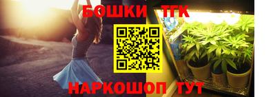 индика Партизанск