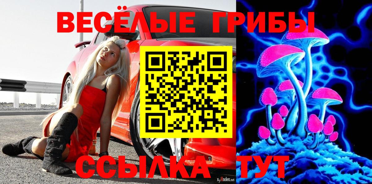 МЕТАДОН Сунжа