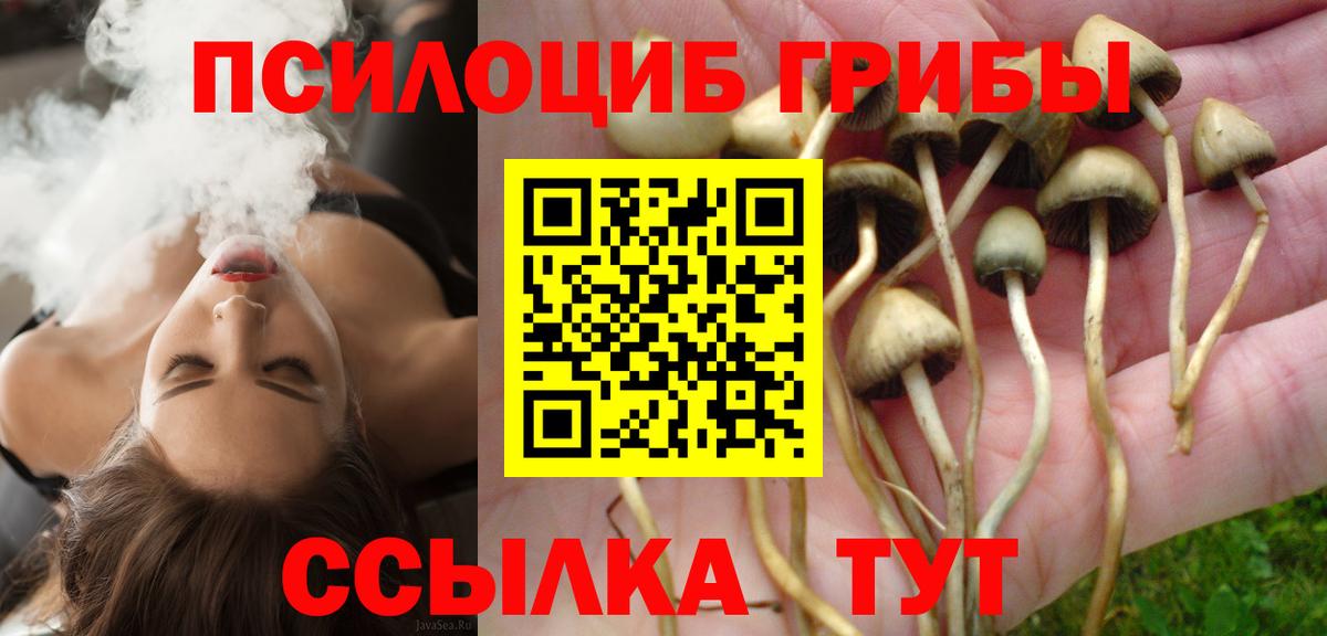 Псилоцибиновые грибы Cubensis  Вход с VPN  продажа наркотиков  Сунжа 